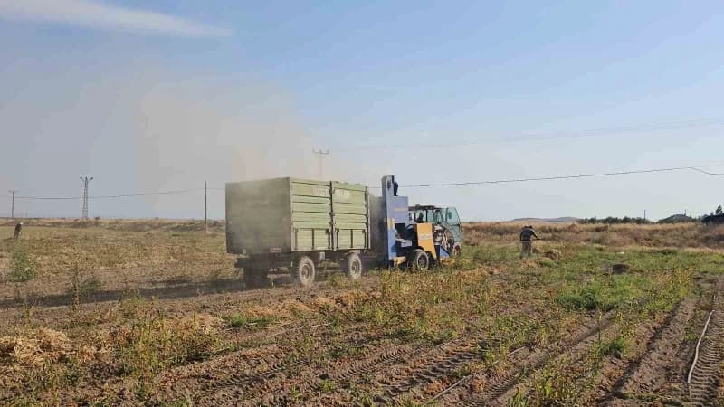 Bitlis'in Adilcevaz ilçesinde fasulyede hasat sezonu başladı.