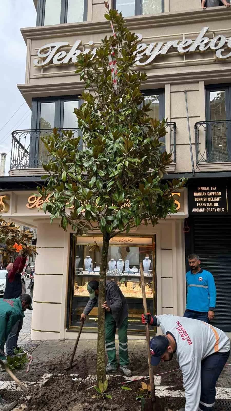 İstanbul Fatih'de bir iş yerinin önünü kapattığı iddiasıyla kimliği belirsiz bir kişi tarafından kesilen ağacın yerine F