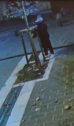 Fatih Nuruosmaniye Caddesi’nde iş yeri önündeki ağacın testereyle kesilme anı güvenlik kamerasında