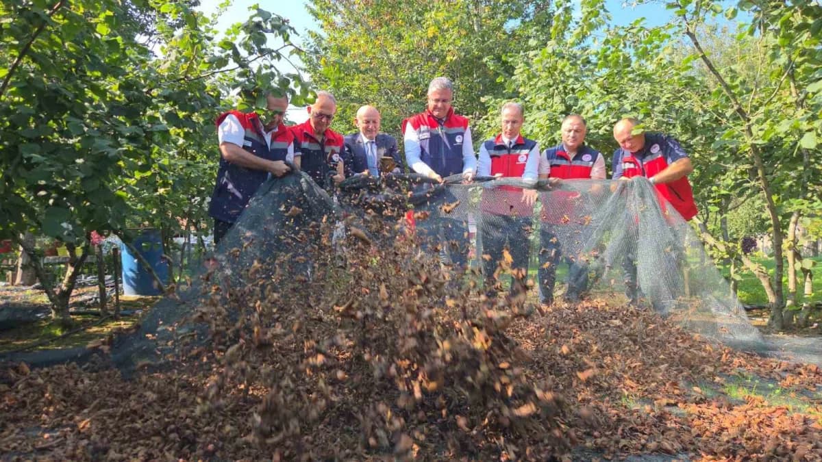Samsun'da 2026 yılı için 1 milyon 250 bin 729 dekar alanda fındık üreticiliği yapılıyor ve yaklaşık 110 bin ton ürün alı