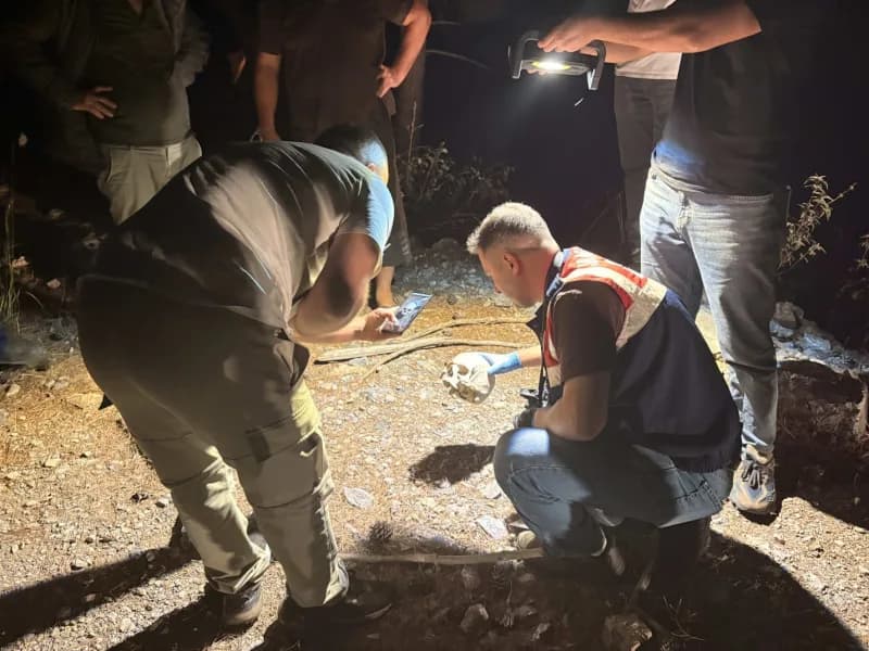 Antalya Gazipaşa ormanlık alanda bulunan kafatası ve jandarma incelemesi
