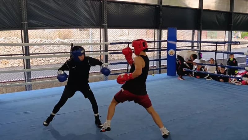 Türkiye Genç Kadınlar Boks Milli Takımı, Avrupa Şampiyonası, Dünya Şampiyonası ile Gençlik Olimpiyatları öncesi hazırlık