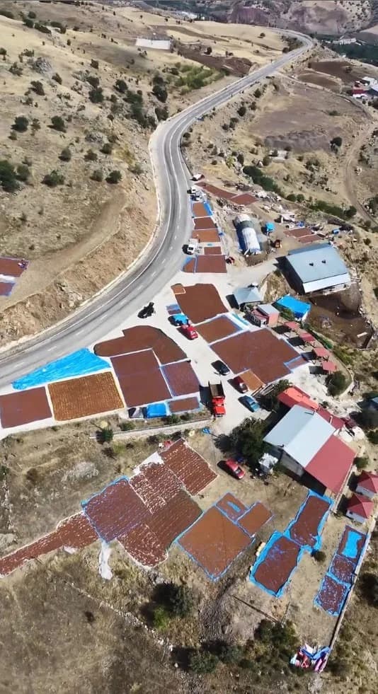 Şebinkarahisar’da üreticilerin fındıklarını Şebinkarahisar-Alucra karayolu güzergahındaki yol kenarlarına sererek kurutm
