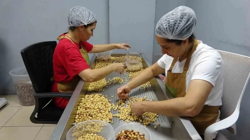 Giresun’da butik fındık işleme atölyesinde fındık ürünleri hazırlanıyor