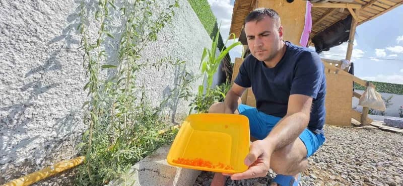 Geleneksel Çin tıbbında iki bin yılı aşkın süredir "Uzun ömrün sırrı" ve vücudun yaşam özünü besleyen en güçlü şifa kayn