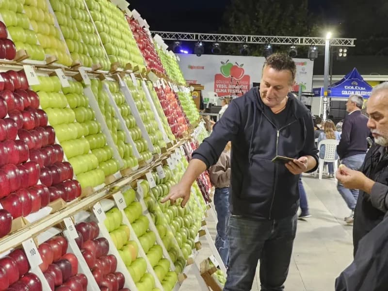 Kocaeli'nin Gölcük ilçesinde bu yıl 30'uncusu düzenlenen "Yeşil İhsaniye Elma Festivali"nde, bölgedeki en iyi Elma ve ar