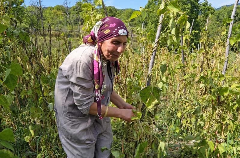 Artvin'de doğuştan görme engelli Kemal ve Süheyla Köse kardeşler, yarım asrı aşkın süredir köy hayatını birlikte omuzlay