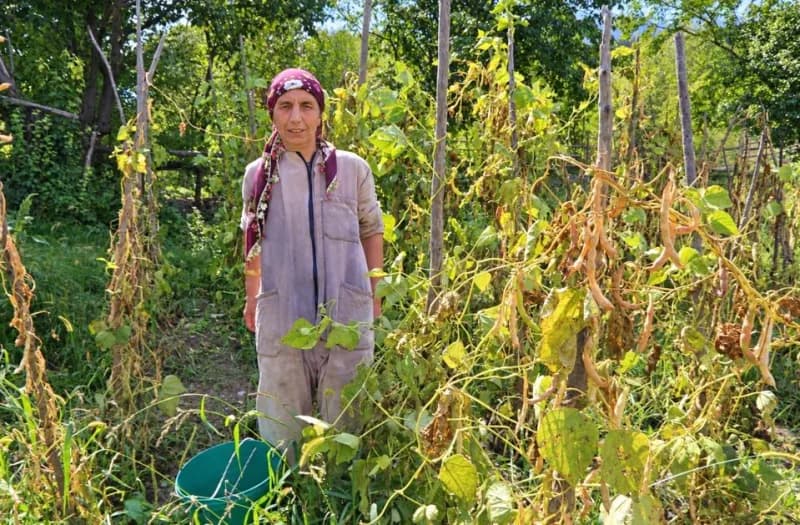 Artvin'de doğuştan görme engelli Kemal ve Süheyla Köse kardeşler, yarım asrı aşkın süredir köy hayatını birlikte omuzlay