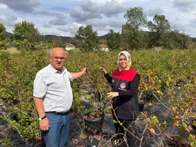 Gümüşova’da Yaban Mersini ve Aronya üretimi için yeni adım