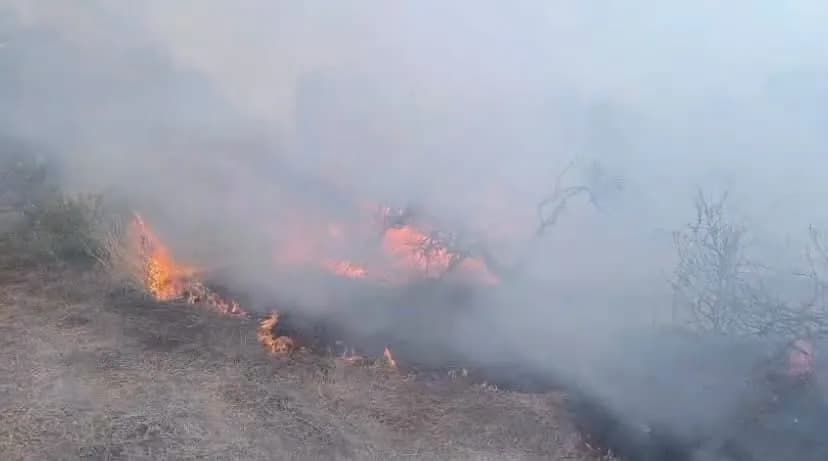 Hassa’da zeytinlik alan ve anızlarda çıkan yangın ekiplerin müdahalesiyle kontrol altına alındı.