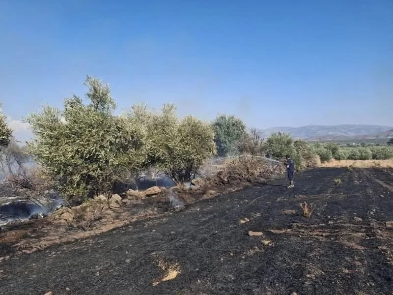 Hatay Hassa ilçesinde çıkan zeytinlik ve anız yangınına müdahale eden ekipler