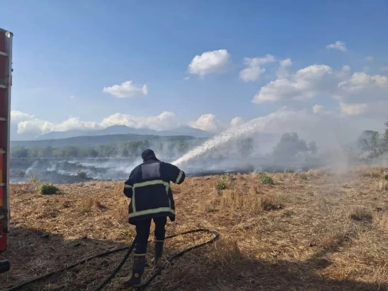 Hassa’da zeytinlik alan ve anızlarda çıkan yangın ekiplerin müdahalesiyle kontrol altına alındı.