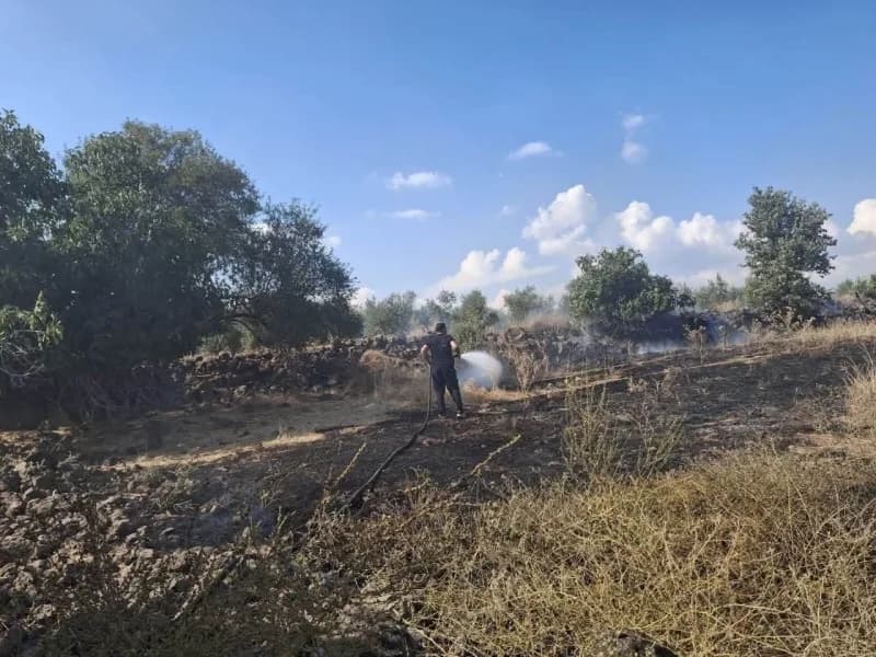 Hassa’da zeytinlik alan ve anızlarda çıkan yangın ekiplerin müdahalesiyle kontrol altına alındı.