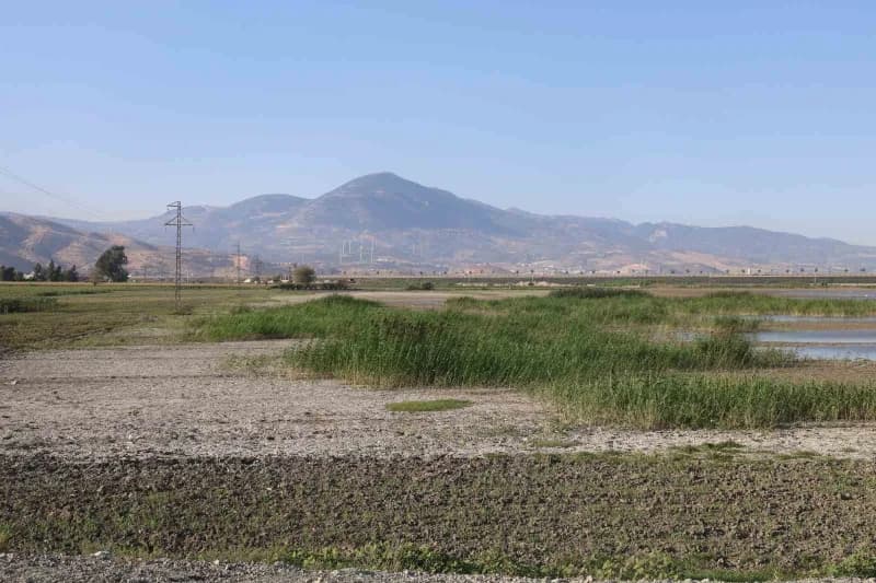 Hatay'da kış aylarında etkili olan yağışların ardından sular altında kalan Amik Ovası'ndaki binlerce dönüm tarım arazisi