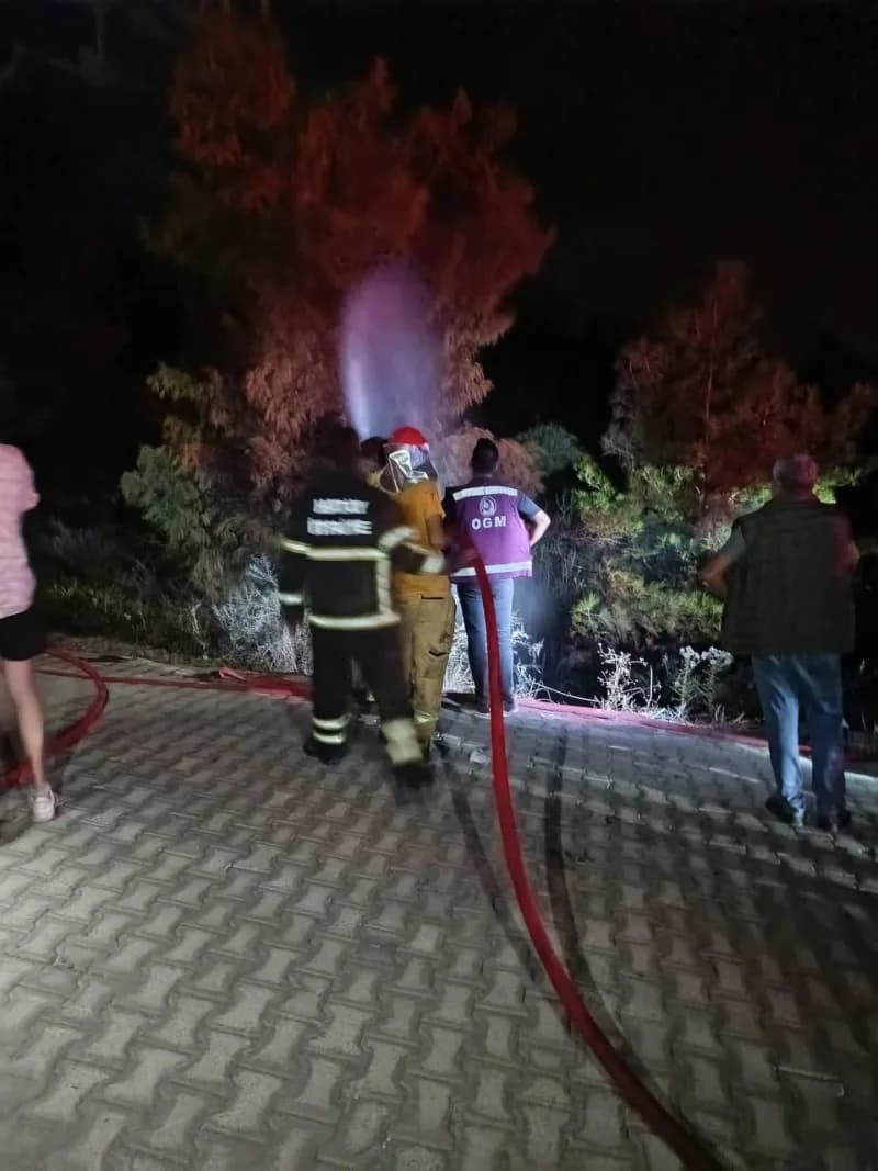 İtfaiye ekiplerinin müdahalesi