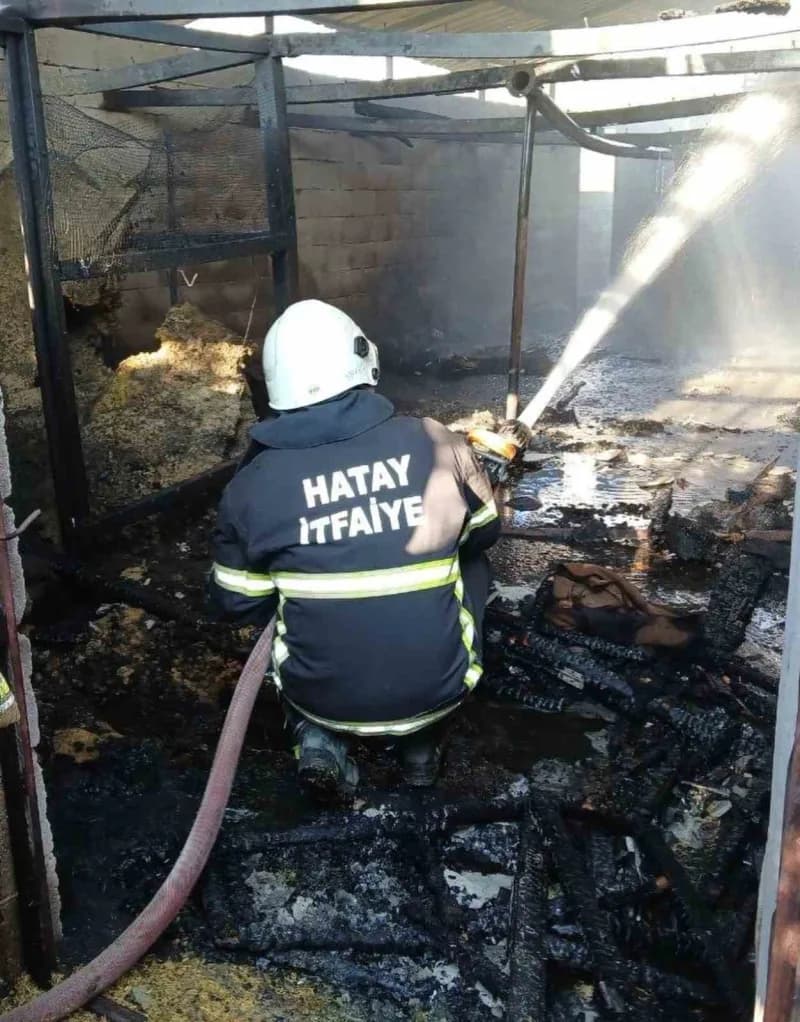 Hatay Hassa Aktepe Mahallesi’nde çıkan ev ve ahır yangınına müdahale eden ekipler
