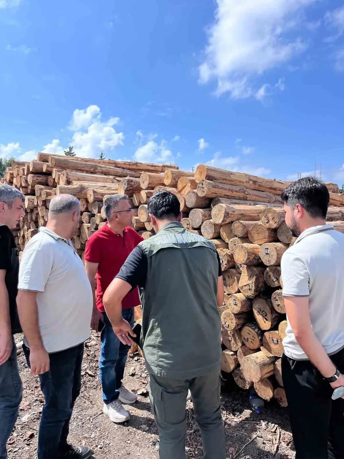 Hatay Orman Bölge Müdürü İlkay Günay’ın İskenderun Sahil Orman Deposu’nda gerçekleştirdiği incelemelerden görüntü.