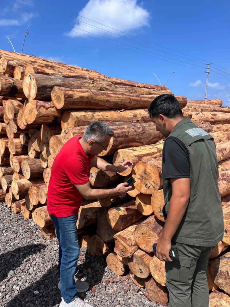 Hatay Orman Bölge Müdürü İlkay Günay’ın İskenderun Sahil Orman Deposu’nda gerçekleştirdiği incelemelerden görüntü.
