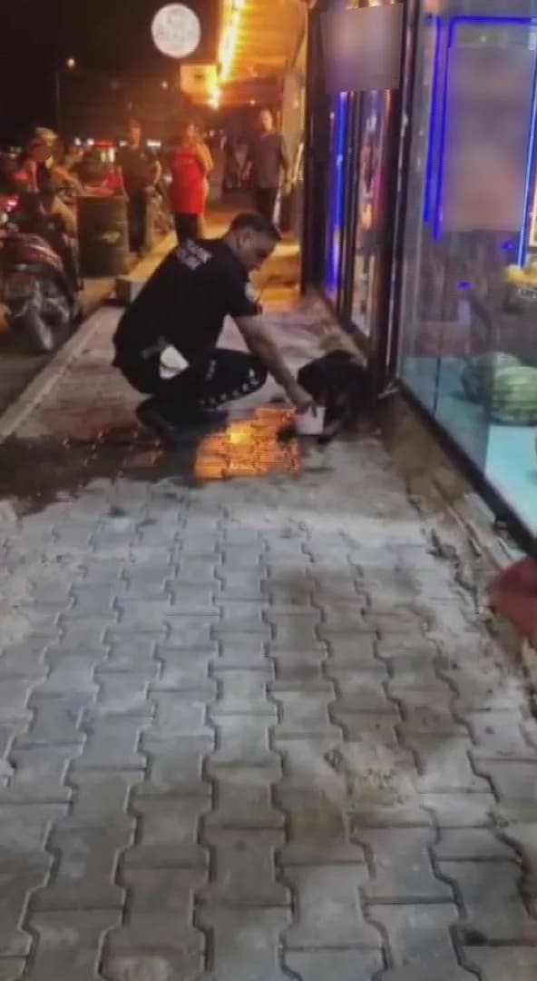 Olayda yaralanan köpeğe sahip çıkan polis ekiplerinin merhametiyse yürekleri ısıttı. (Arşiv)