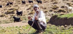 Muş Yerkaya köyünde hayvanlarıyla birlikte otlatma yapan Medeni Kortaş