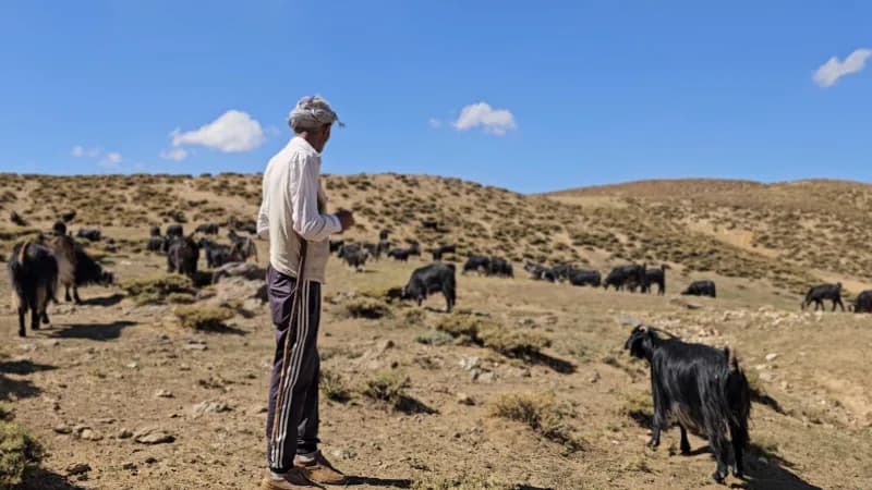 Bursa’dan köyüne döndü, hayvancılıkla geçimini sağlıyor