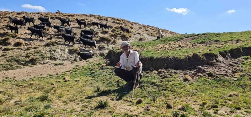 Bursa’dan köyüne döndü, hayvancılıkla geçimini sağlıyor