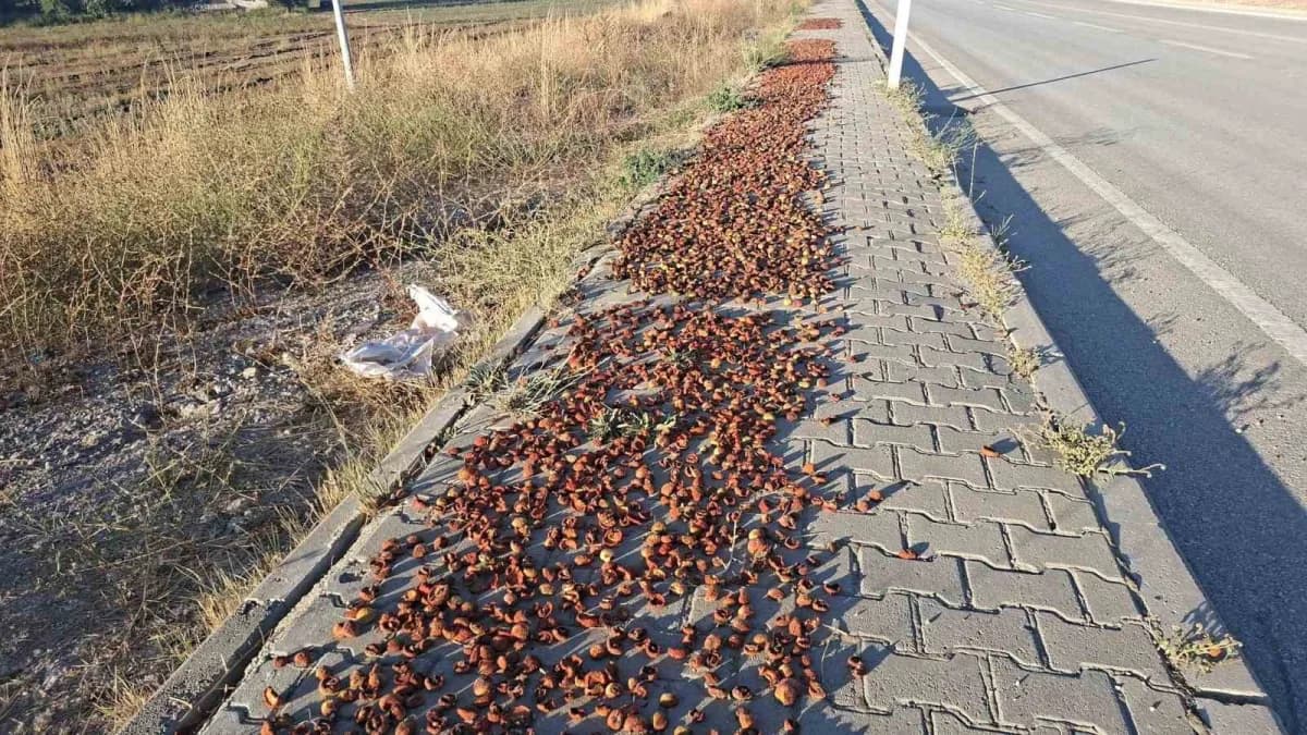 Hisarcık’ta elmalar kaldırımlara serildi: ilginç görüntüler ortaya çıktı