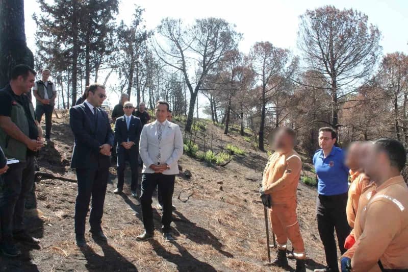 Balıkesir'in Bandırma, Gönen, Manyas, Susurluk ve Erdek ilçelerinde, ormanların korunması, bakım ve ağaçlandırma çalışma