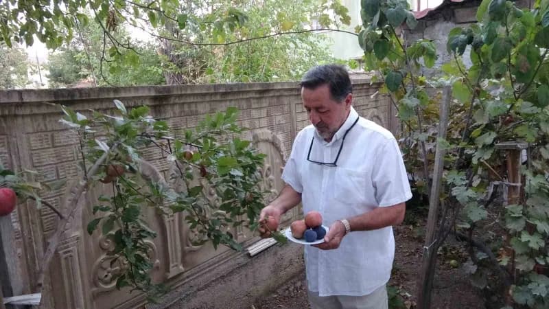 Doğan, "Çevreden görenler benden fide istiyorlar. Daha ikinci döneminde olduğunu söyledim. Yetiştirdiğim zaman olgunlaşı
