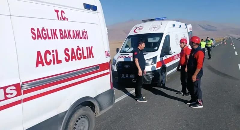 Iğdır’da eşeğe çarpmamak için manevra yapan kamyon kaza yaptı