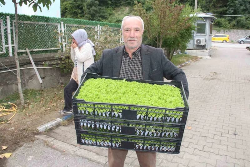 Kastamonu'nun İnebolu ilçesinde 65 çiftçiye, yürütülen proje çerçevesinde 88 bin 400 adet sebze fidesi dağıtıldı.