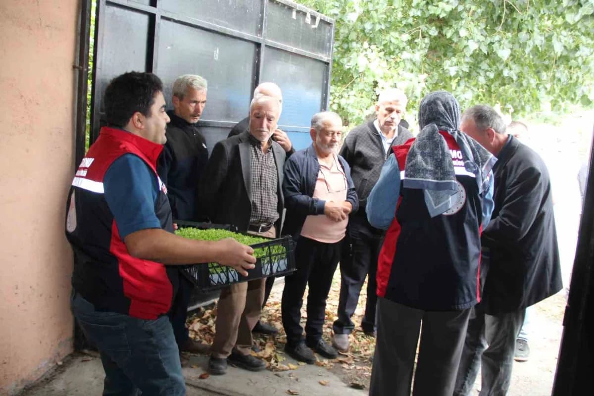 Kastamonu'nun İnebolu ilçesinde 65 çiftçiye, yürütülen proje çerçevesinde 88 bin 400 adet sebze fidesi dağıtıldı.