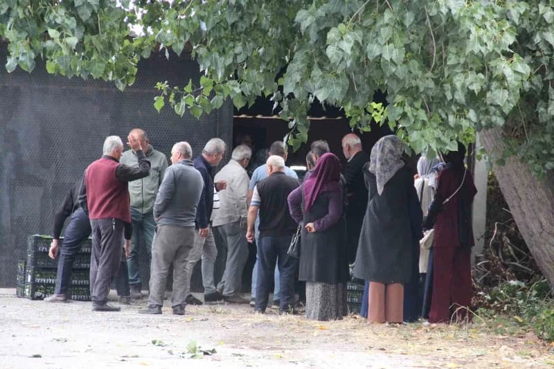 Kastamonu'nun İnebolu ilçesinde 65 çiftçiye, yürütülen proje çerçevesinde 88 bin 400 adet sebze fidesi dağıtıldı.
