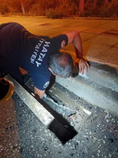 İskenderun’da itfaiye ekipleri mahsur kalan hayvanları kurtarıyor