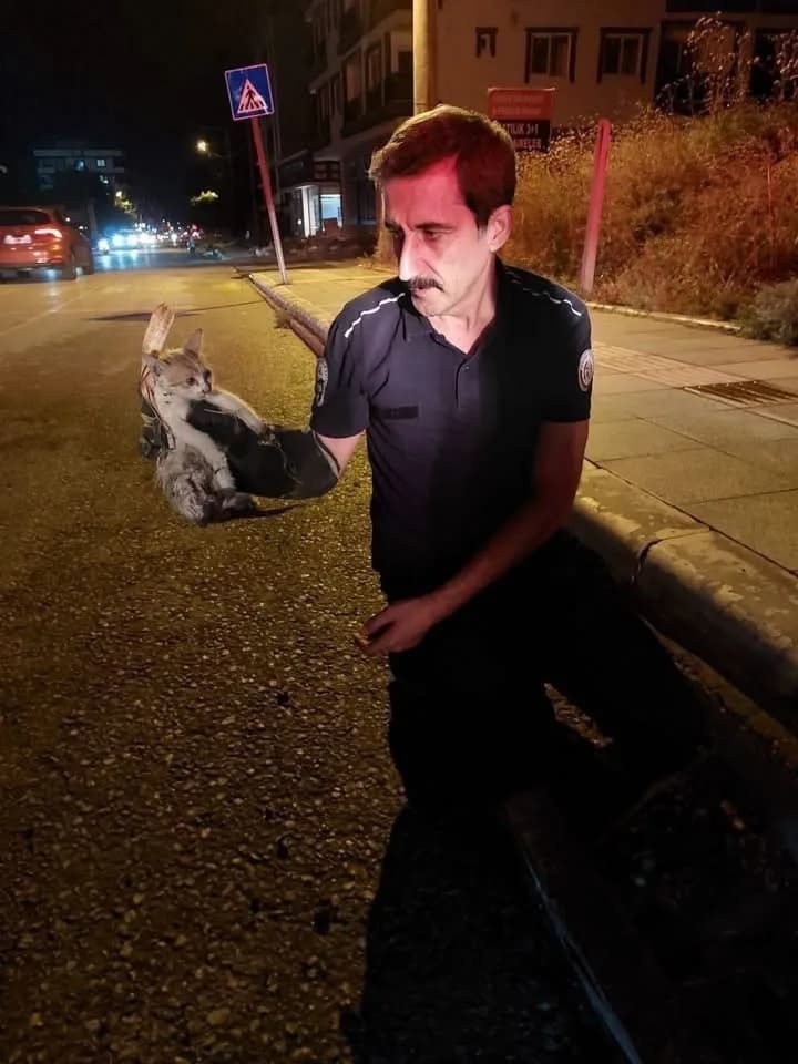 İskenderun’da farklı noktalarda mahsur kalan hayvanların ekipler tarafından kurtarılması.