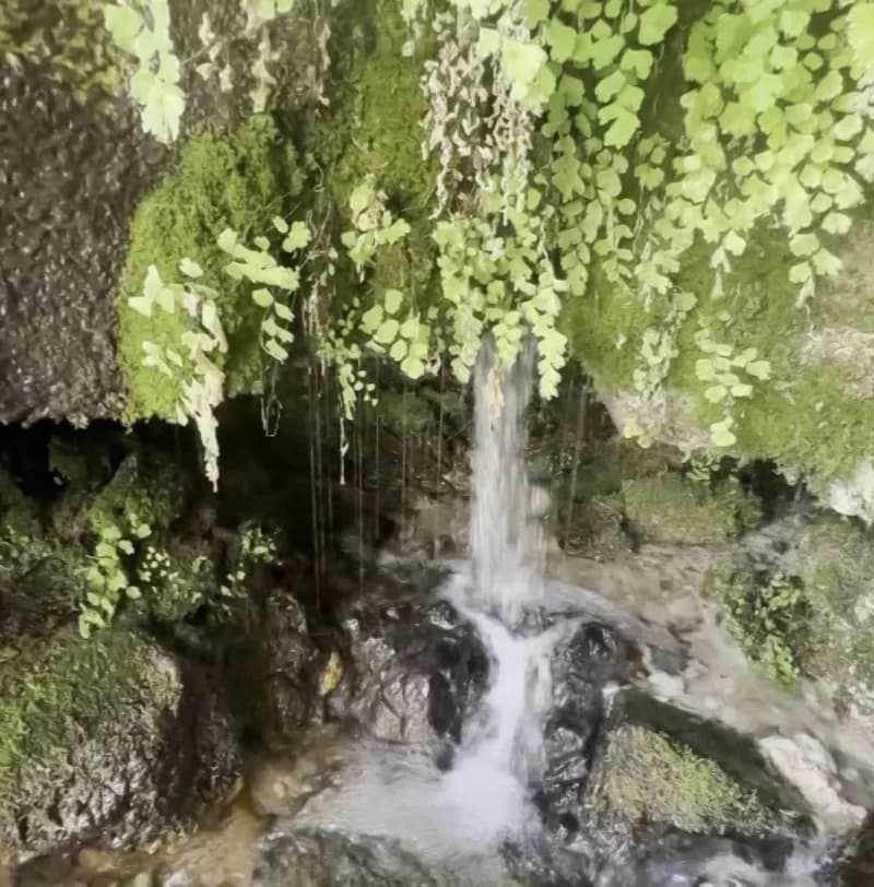 Sivas’ın Gürün ilçesinde bulunan Şuğul Kanyonu içerisinde bulunan İsli Mağara, görüntüsü ile dikkatleri üzerine topluyor