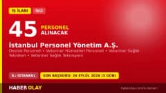 İSPER İstanbul Personel Yönetim A.Ş. 45 destek ve veteriner sağlık personeli alımı ilanı
