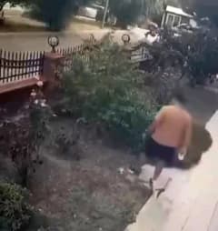 İzmir Bayraklı'da bina önünde yavrularıyla duran anne kediye tekme atan kişi ve olay anı güvenlik kamerasında