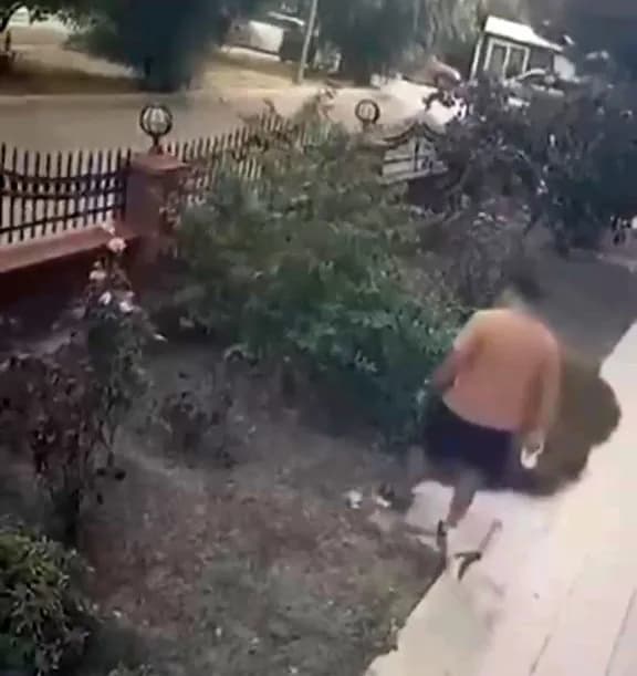 İzmir Bayraklı'da bina önünde yavrularıyla duran anne kediye tekme atan kişi ve olay anı güvenlik kamerasında