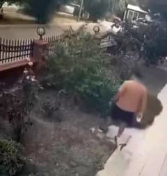 İzmir Bayraklı’da yavrulu kediye tekme atan şahsın güvenlik kamerası görüntüsü