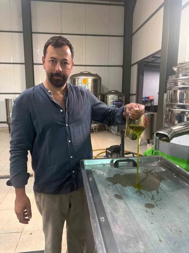 Bursa'nın İznik ilçesine bağlı Göllüce Mahallesi'nde zeytin üreticisi Oğuz Yıldırım, sezonun ilk zeytin hasadını gerçekl