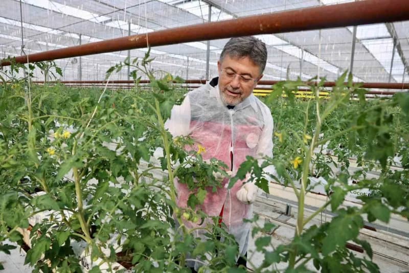 Tarım ve Orman Bakanı İbrahim Yumaklı, Erzincan’daki jeotermal serada incelemelerde bulunuyor