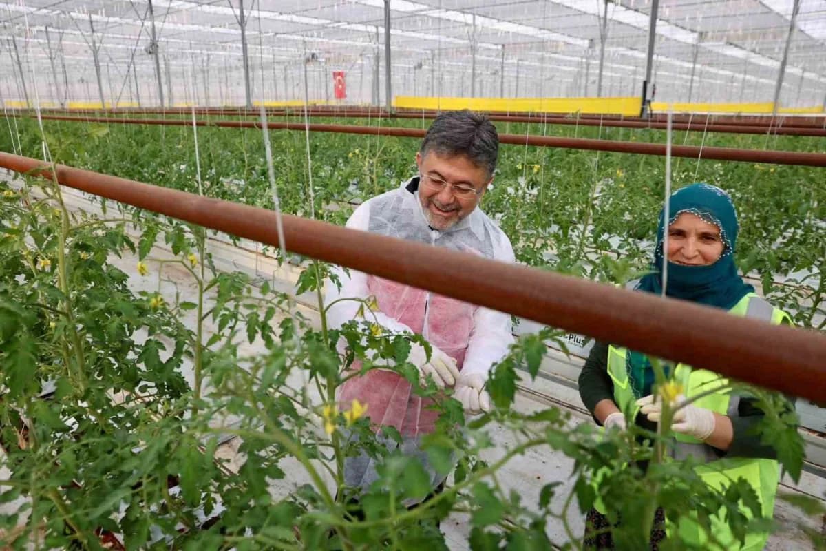 Tarım ve Orman Bakanı İbrahim Yumaklı, Erzincan’daki jeotermal serada incelemelerde bulunarak, modern üretim teknikleri