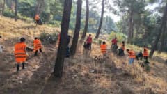 Kahramanmaraş Kazma Bağları’nda gönüllüler ve belediye ekipleri çevre temizliği yapıyor