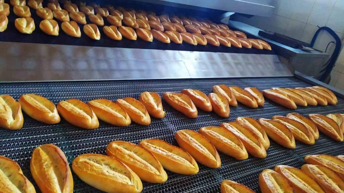 Kahramanmaraş Halk Ekmek Fabrikası’nda doğal probiyotikli sıvı maya tankı ve üretim alanı