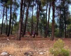 Kahramanmaraş Ahır Dağı Pınarbaşı mevkiinde çıkan orman yangınına müdahale eden ekipler