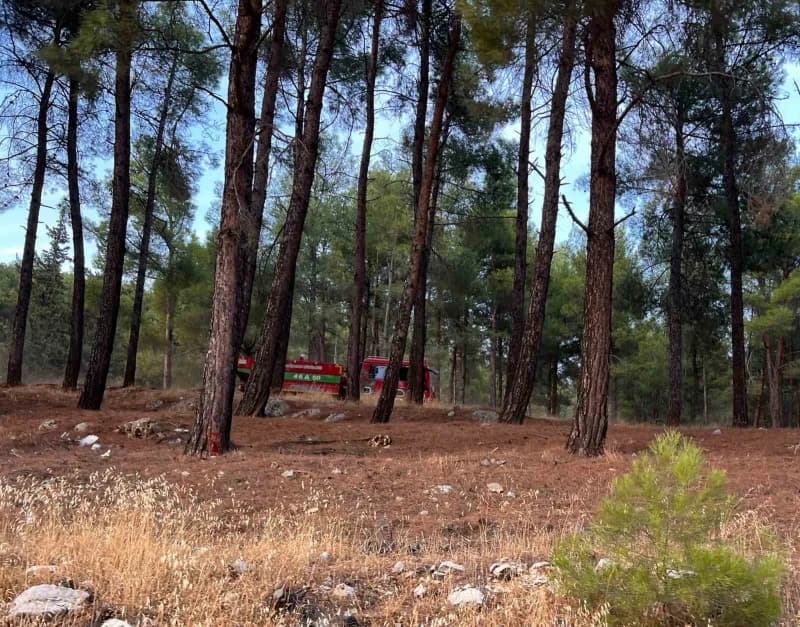 Kahramanmaraş Ahır Dağı Pınarbaşı mevkiinde çıkan orman yangınına müdahale eden ekipler