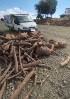 Kahramanmaraş Pazarcık'ta orman ekiplerinin kaçak orman emvali denetimi