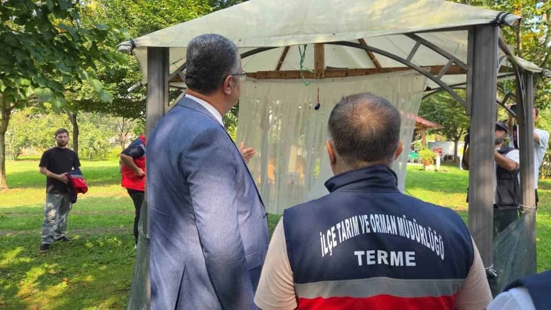 Meyve ve sebzelerin bir numaralı düşmanı olan Kahverengi kokarca zararlısı, Samsun'da farklı noktalara yerleştirilen 26