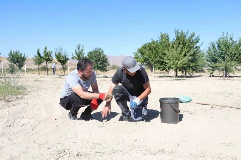 Kapadokya bölgesinde tarımsal üretimin çeşitlendirilmesi ve tarım turizminin geliştirilmesi amacıyla tıbbi aromatik bitk